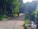 4 Cent Land for Sale