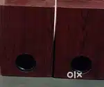 Dainity subwoofer