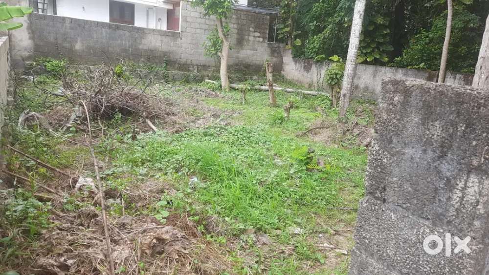 4cent plot for sale near ambalathara