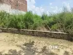 Khali plot