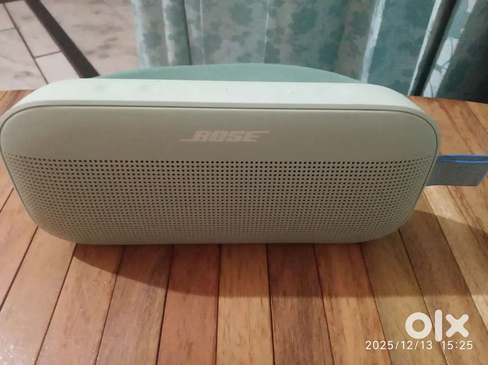 Bose speaker flex