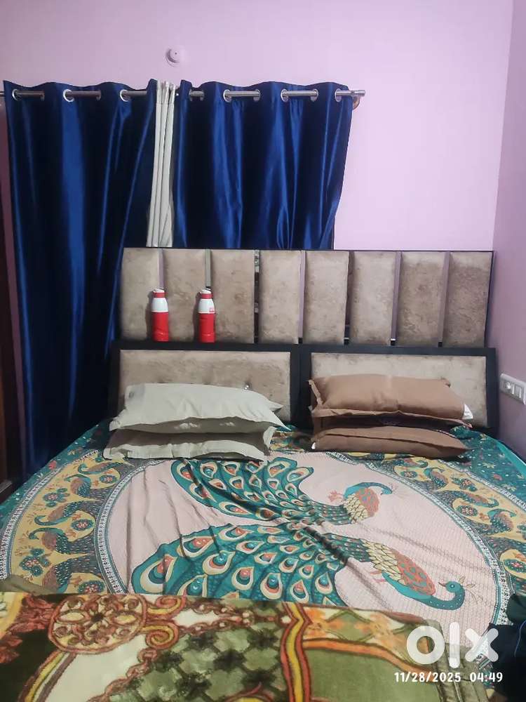 Looking for a room mate male/female