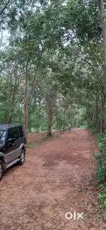 Raed sandel 100sqr 500000 malavale area industrial area pls contact
