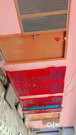 3 apartment are available, 2 are at ground floor and 1 at first floor