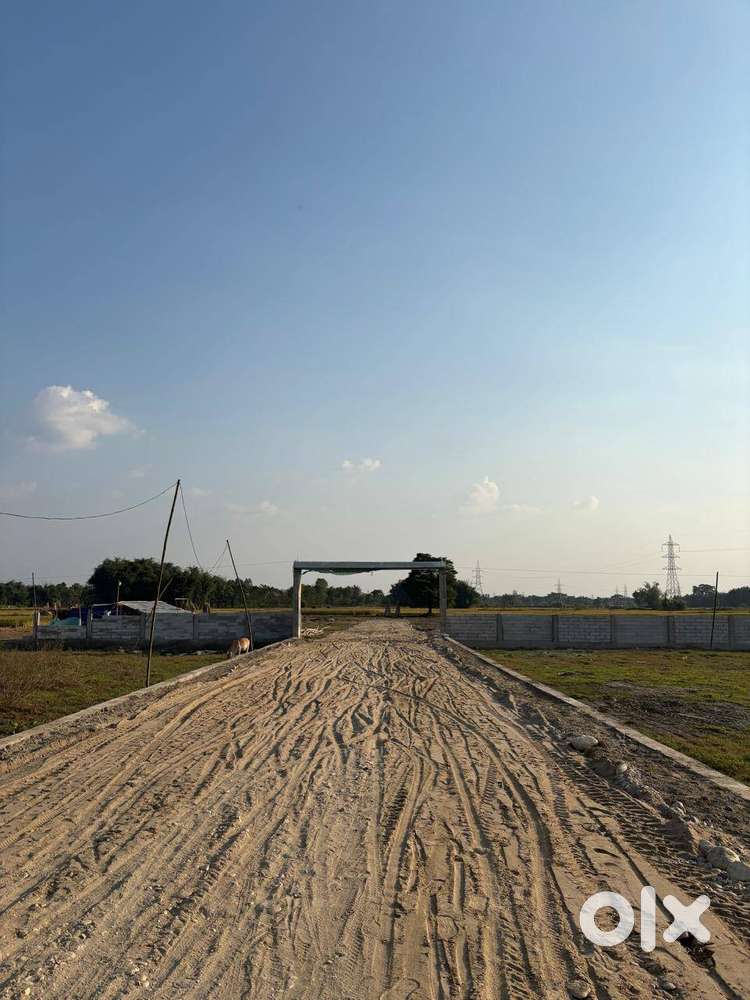 Modern Township with 30 Ft Roads, Green Spaces and Safety, BUDDH VIHAR