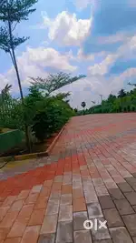 25 சென்ட் 20 வகையான பழமரங்களுடன் ஒத்தகால்மண்டபம்