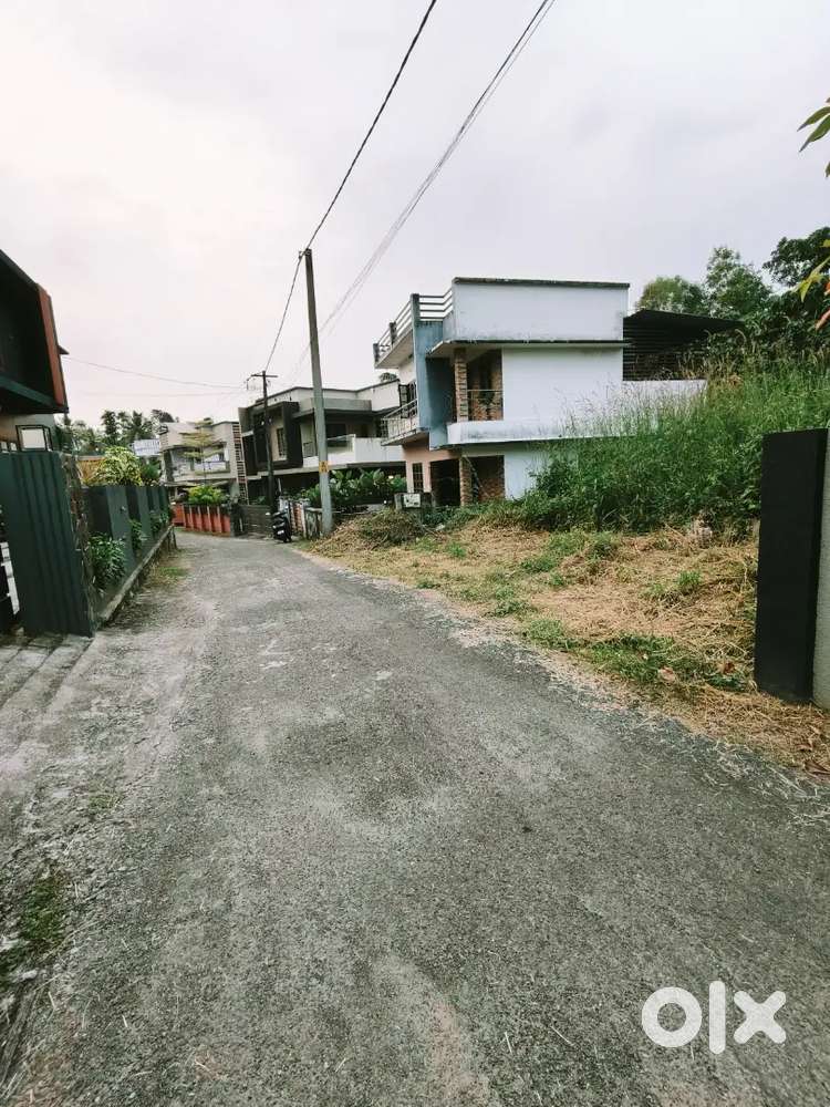 ( Superb) eriya 5 cent land for sale chottanikara