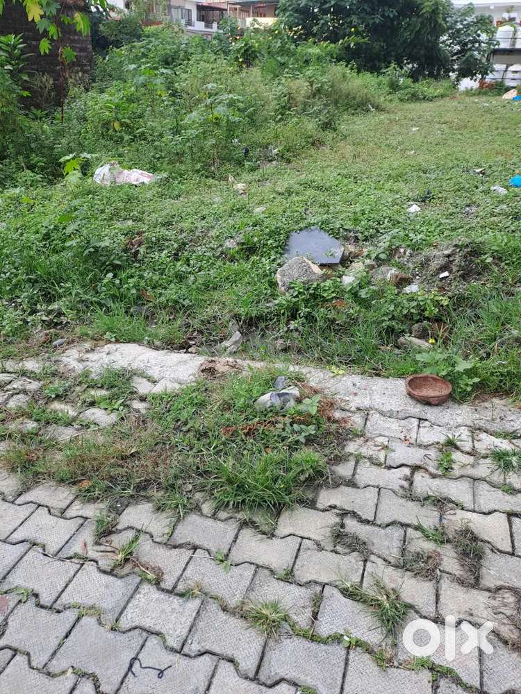 225 gaj plot for sale Ekta vihar colony sahastradhara road