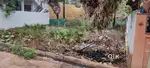 Indrapalem