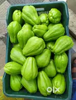 Vegetable packing