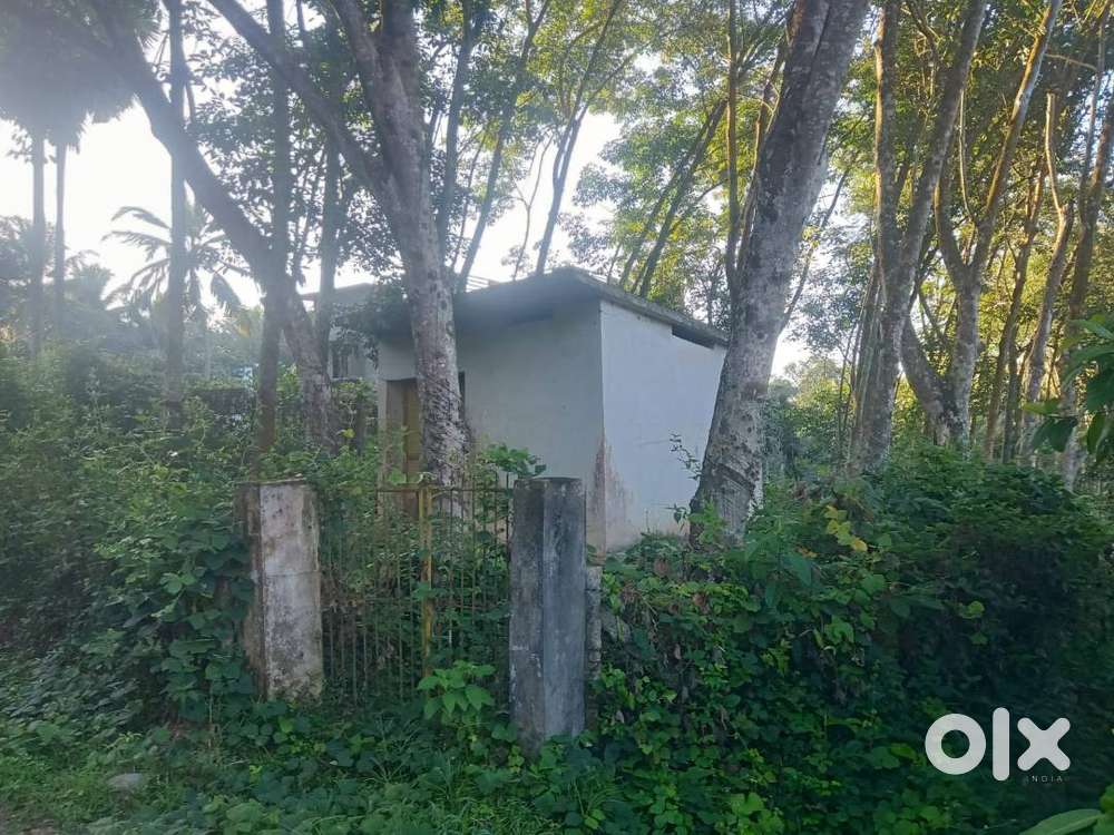 70 cent plot for sale, Chenkavila
