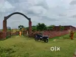 Primary School