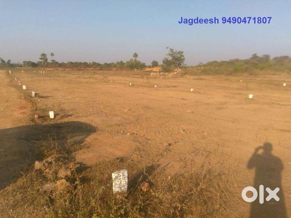 Residentail plot sale in Deshmukh/Julur