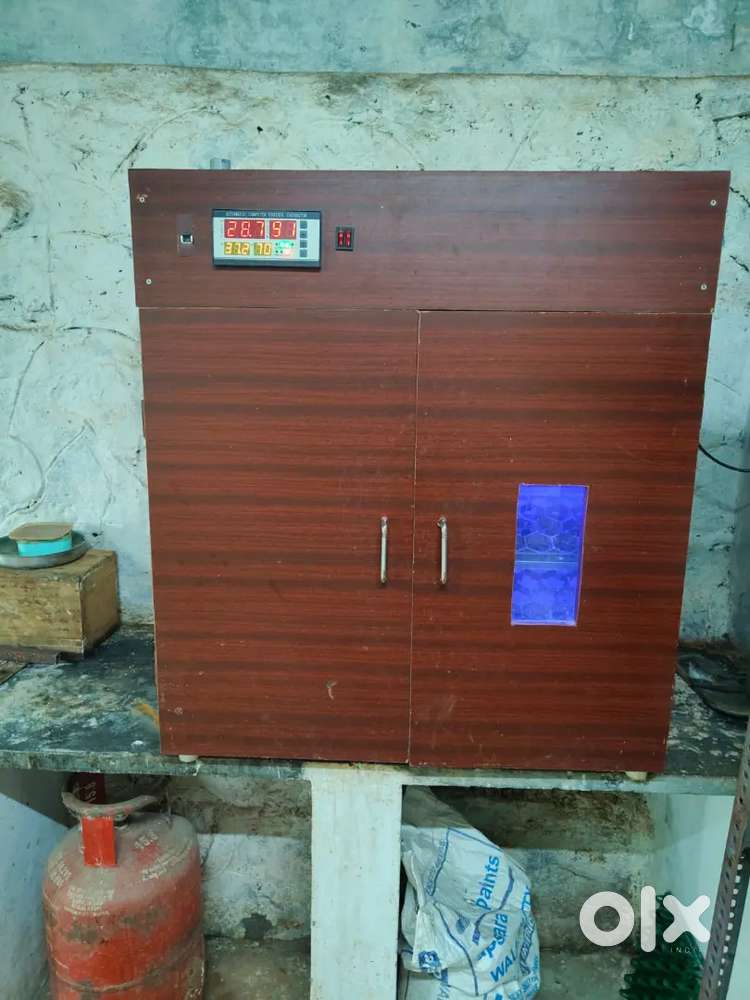 AUTOMATIC COMPUTER CONTROL INCUBATOR