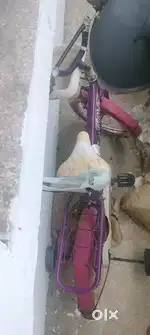 1 years old thoda bahut repairing karvana hoga