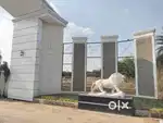 Aashiyana Farms
