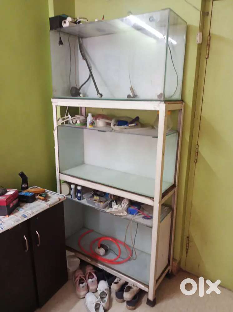 Fish tank for sell