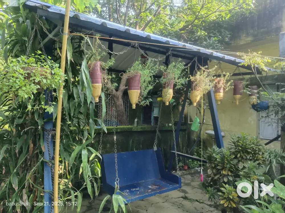 Jhula for family