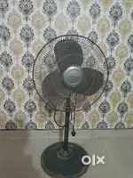 Stand  Fan