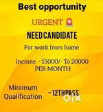 Looking for 5 candidates who can invest their time to make 15000-20000