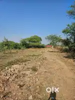 Agriculture Land 5.33 Acre