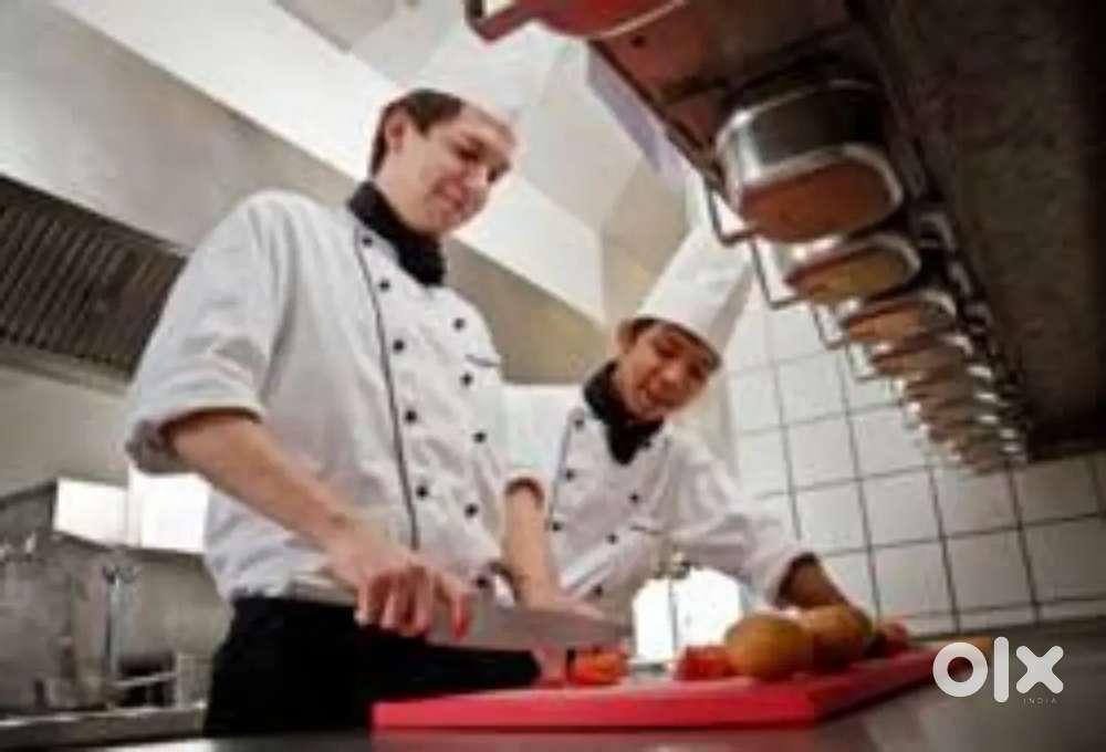 NEED NORTH INDIAN AND CHINESE CHEF