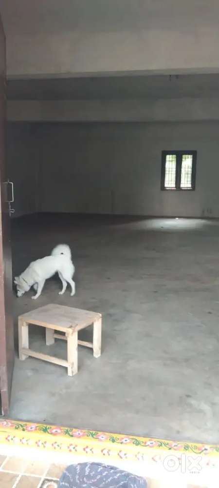 Godown/office for rent
