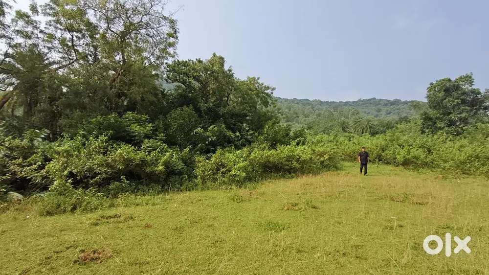 39,900sqft gharabari plot available for sale near Nirakarpur
