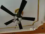 2 No. Desiner Celling Fans