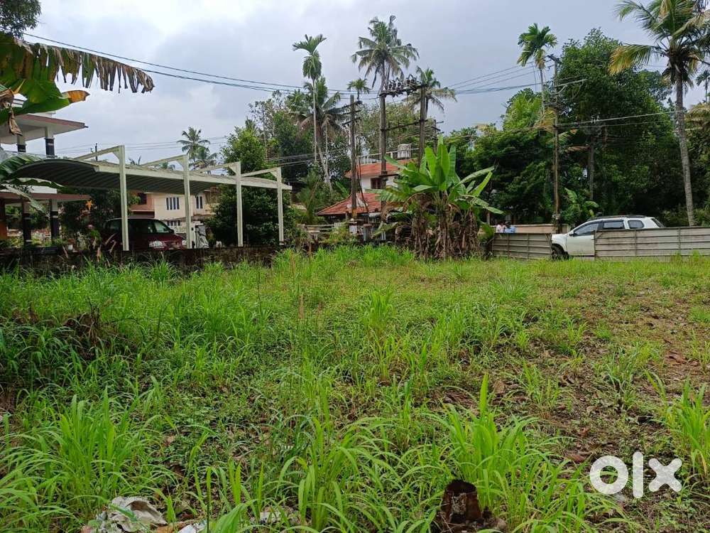 Land For Rent: 13.5 cents compound wall and gate