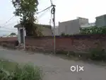 Shop for rent in 13 marla plot
