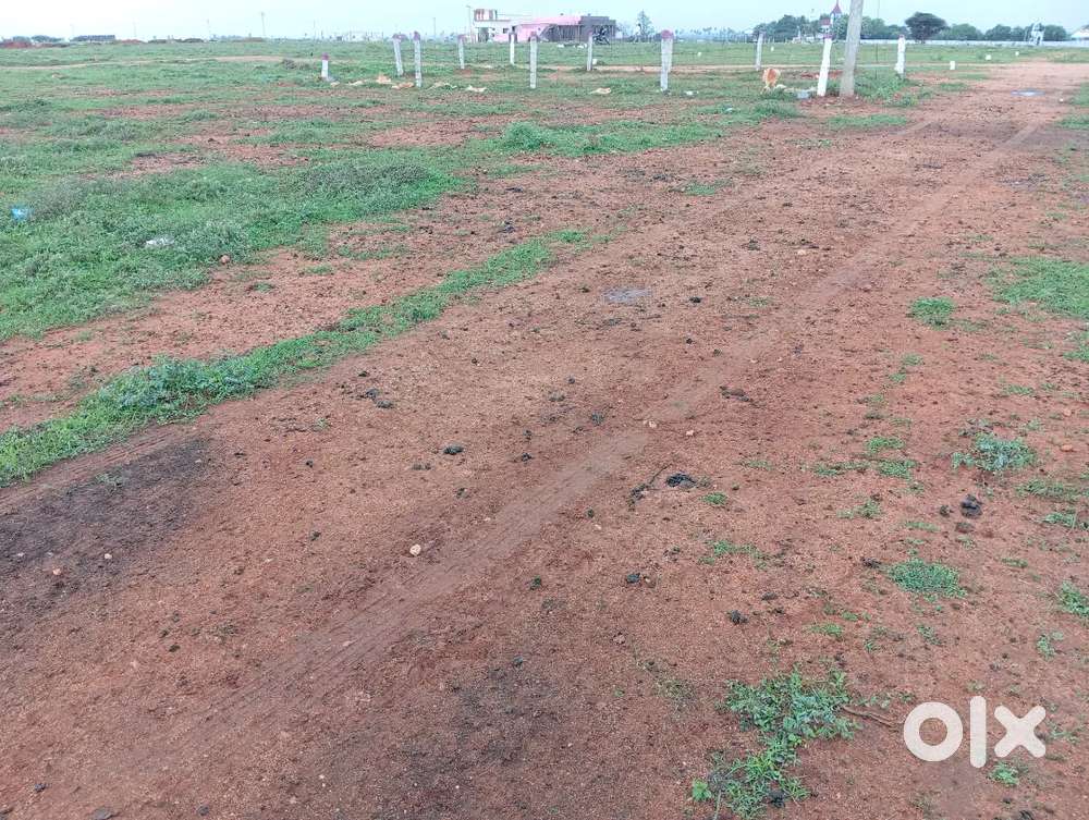 43 CENTS SALE IN RING ROAD