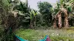 My land for sale at Mout Gaon, Nimati Road Jorhat-Jorhat.