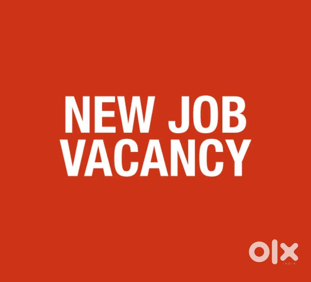 JOBS in indigo Airlines urgent hiring apply