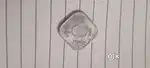 Coin collection