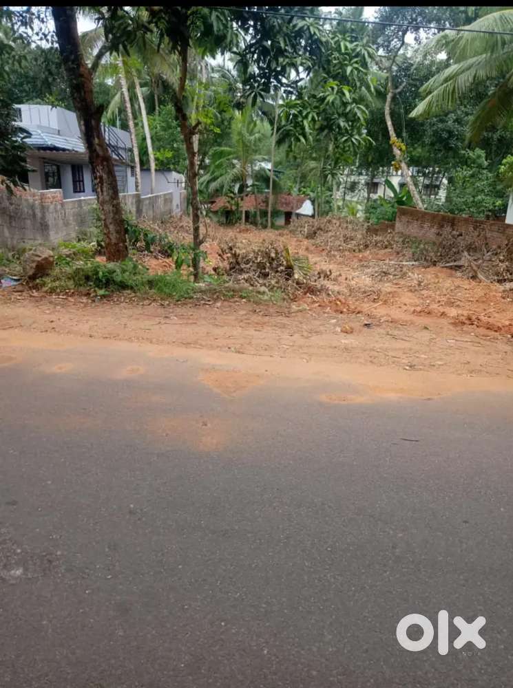Housing and Commercial  land at Road Side near Marthandam ,13 Cents