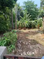 17 cent square plot for sale at Kuttanellur