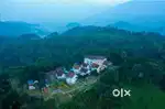 Wanted staff for resort at munnar,