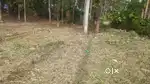 7cent,8cent36cent plots are for sale near Mavila junction,Karunilakode