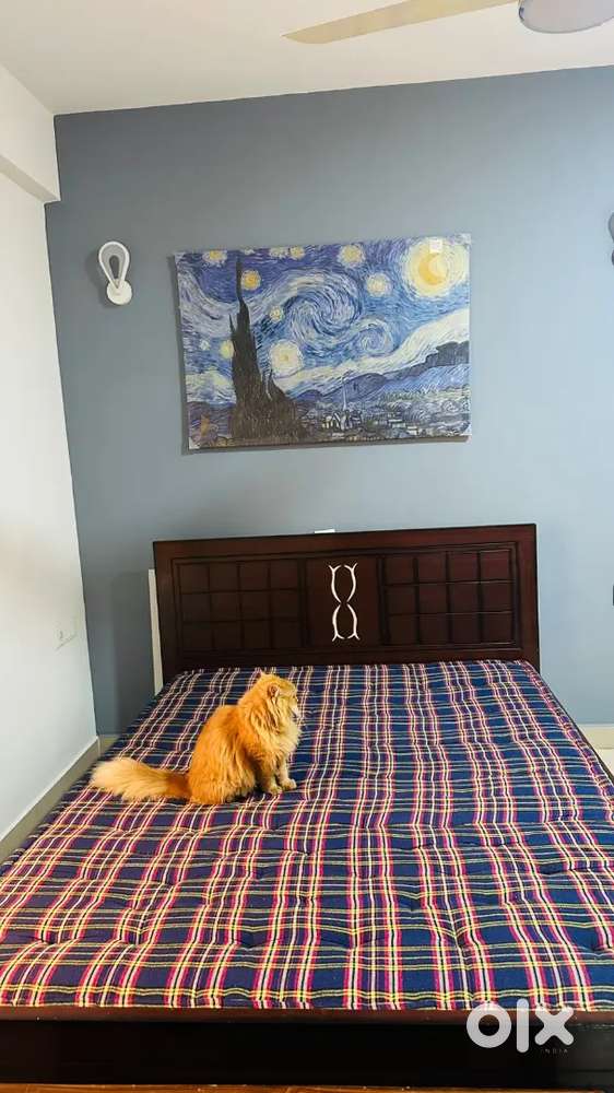 Queen size bed without storage and matching bed side table