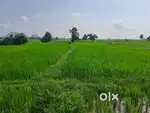 Nh-55 main road plots
