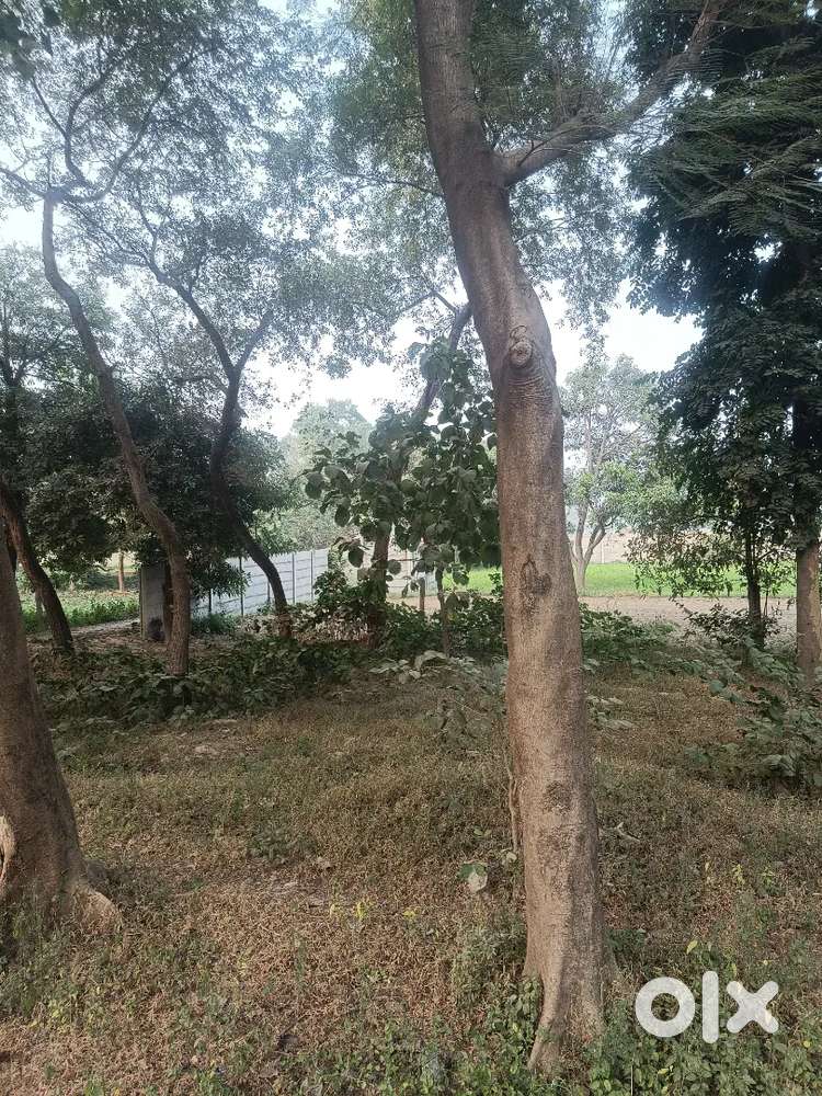 Near baghaura ayodhya highway