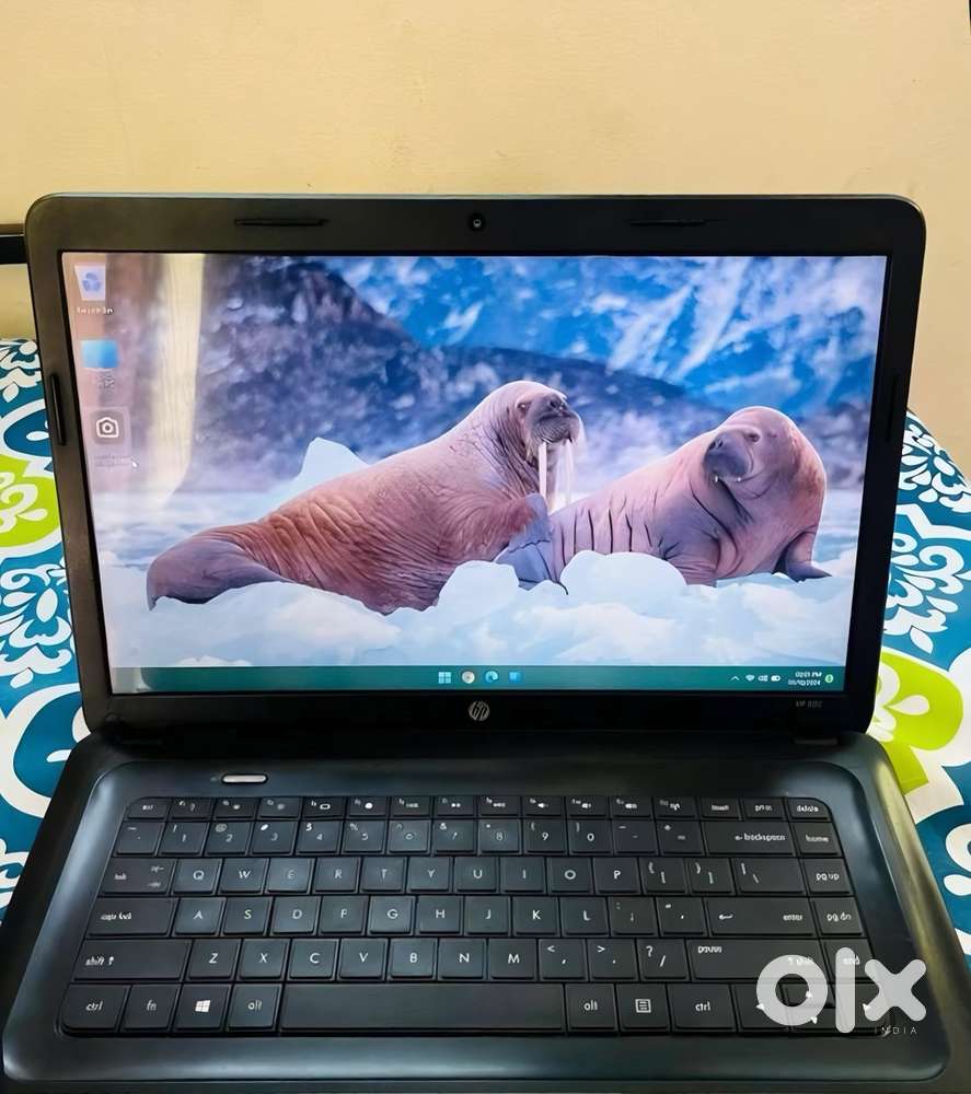 HP Laptop 4 GB RAM 500GB hard disk
