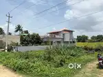Shankaraghatta, Bhadravathi taluk, shimoga district,
