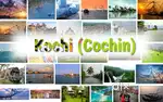 COLLECTION EXECUTIVE