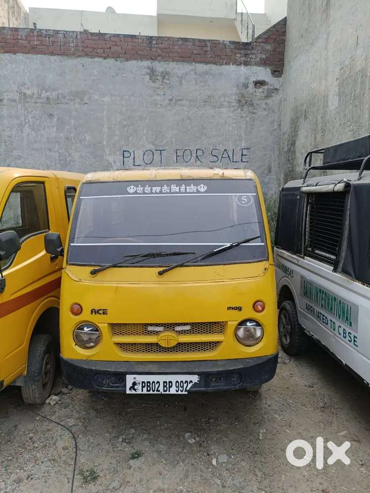 2010 Model Magic