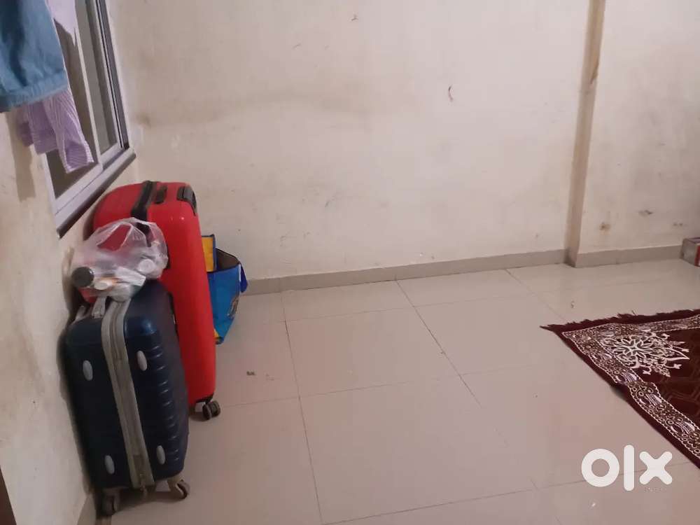 I need a roommate batchelor girls