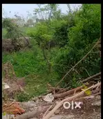 80gaj plot