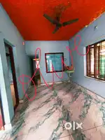 Independent house 2bhk for rent Aluva Asokapuram