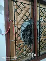 2BHK house for rental